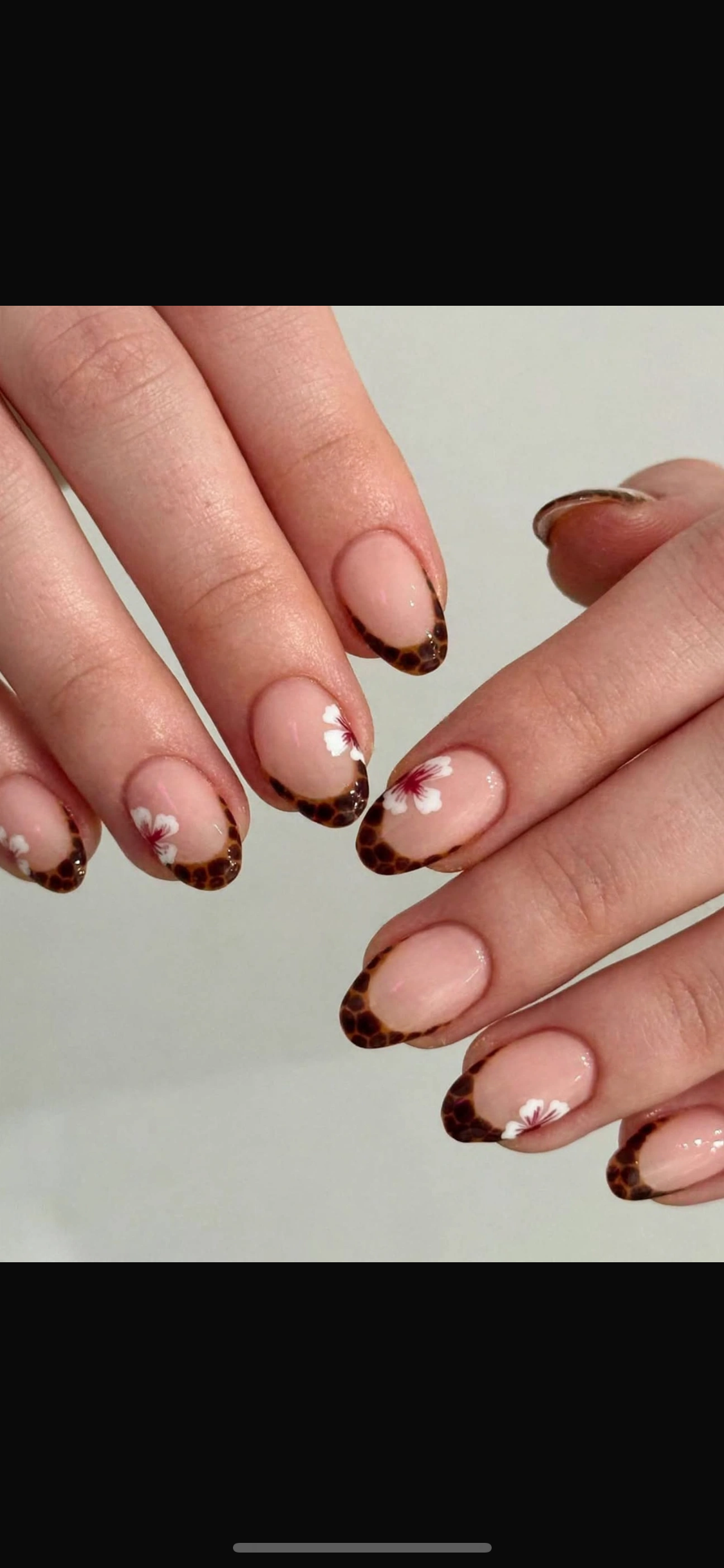 Designed Medium Brown Nail Set